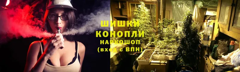 Бошки марихуана SATIVA & INDICA  дарк нет наркотические препараты  Туринск 